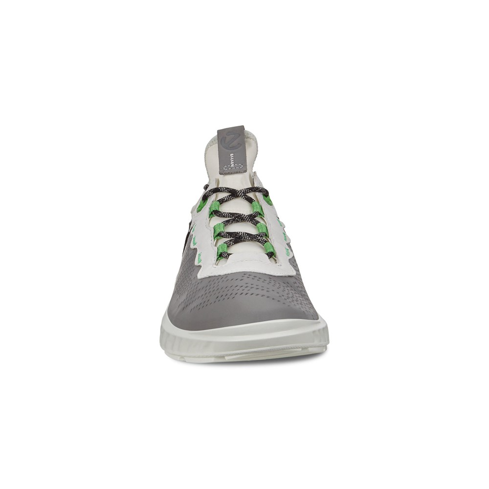 Tenis Hombre - ECCO St.1 Lites - Grises/Blancos - ZQJ081253